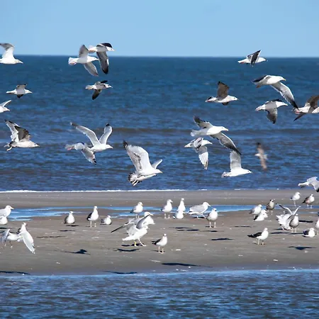 Deichknutt Watt 아파트